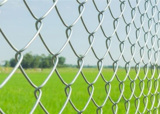Concertina Barbed Wire with Galvanized Zinc Coated Chain Link Fence for High Security
