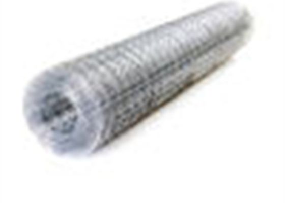 Electro Welded Galvanized Bird Cage Welded Iron Wire Mesh Multifunctional