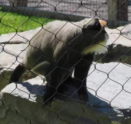 Hot Sale Flexible Stainless Steel Rope Mesh Wire Rope Mesh