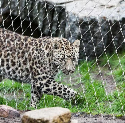 304 Stainless Steel Wire Flexible Cable Rope X-Type Infill Rope Mesh Balustrade Protective Net for Handrail/Railing/Staircase/Balcony/Garden/Decorative Building