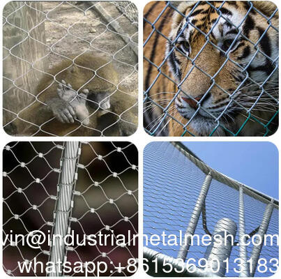 Stainless Steel Wire Rope Mesh/Wire Rope Net/Stainless Steel Rope Mesh Fence