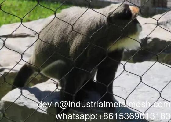 Hot Sale Flexible Stainless Steel Rope Mesh Wire Rope Mesh