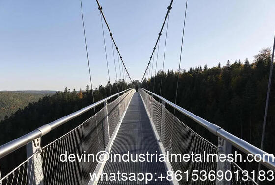 Ss 304 316 Zoo Wire Mesh Stainless Steel Wire Rope Aviary Mesh for Bird Protection