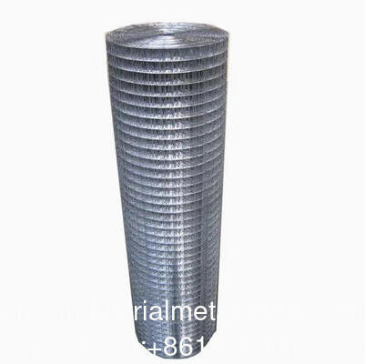 Best Price Building Material Galvanized Welded Wire Mesh on Sale