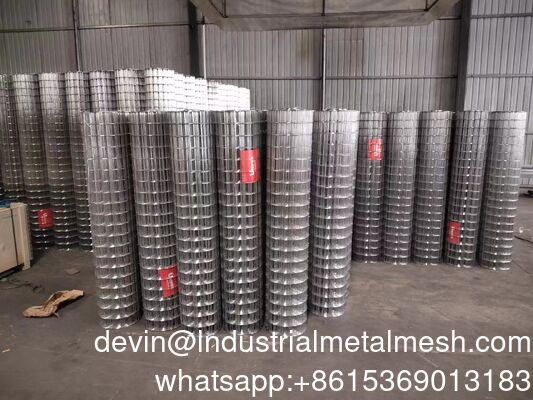 Stainless Steel 304/316/Galvanized/PVC Coated Welded Wire Mesh for Building