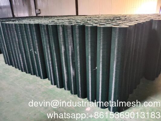 Galvanized/PVC Coated Welded Wire Mesh Roll for Raising Animals