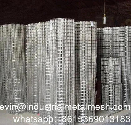 Outdoor Garden Fence Stainless Steel Electro Galvanized Hot Dipped Galvanized Welded Wire Mesh Rolls