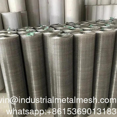 Outdoor Garden Fence Stainless Steel Electro Galvanized Hot Dipped Galvanized Welded Wire Mesh Rolls