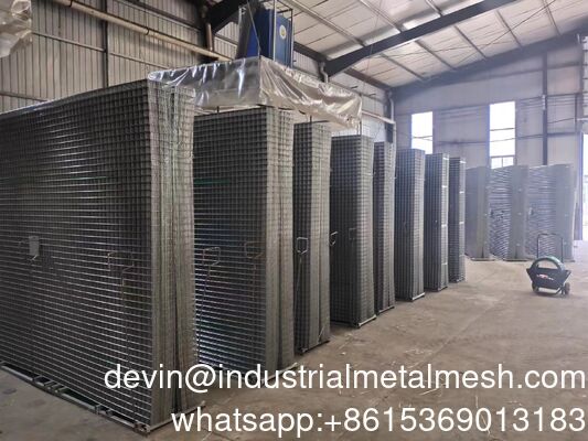 Hot Sale Galvanized Welded Wire Mesh Welded Mesh Panel / 2X2 Galvanized Cattle Welded Wire Mesh Panel