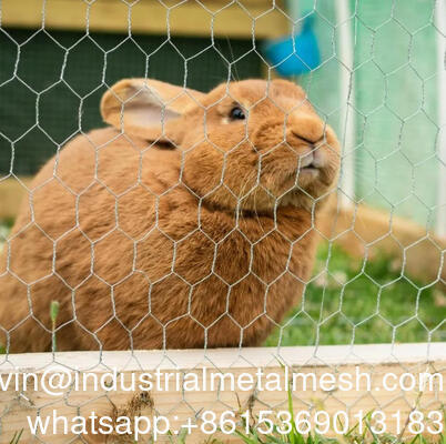 4inch Opening Hexagonal Wire Mesh Used for Garden Fence