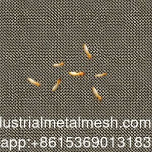 AISI 304 316 316L Anti-termite Stainless Steel Woven Wire Mesh Screen