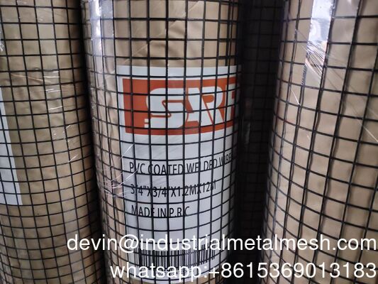 Best Price Building Material Galvanized Welded Wire Mesh on Sale