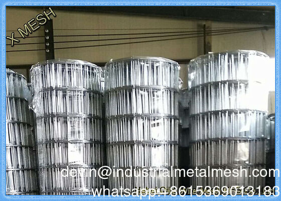 ASTM 1/8-4 Inches Galvanized PVC Coated Stainless Steel Welded Wire Mesh