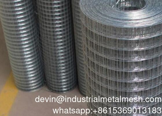 Wholesale Small Hole 1/2 2X2 Galvanized Welded Wire Mesh Price