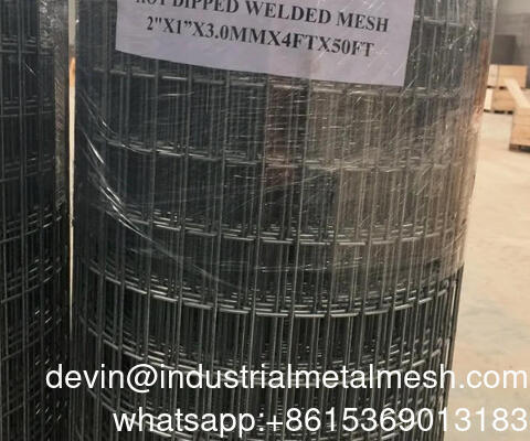 Corrosion Resistant Stainless Steel Welded Wire Mesh Panel for Ground