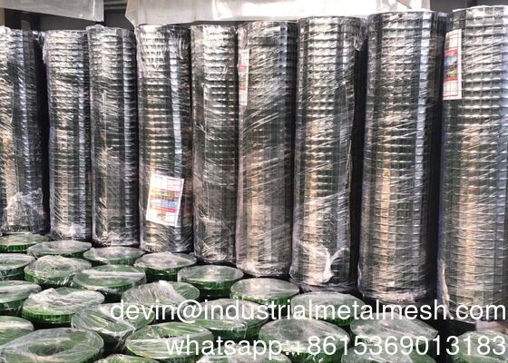 Hot-Dipped Glavanized/Stainless Steel/ Black Wire Welded Wire Mesh