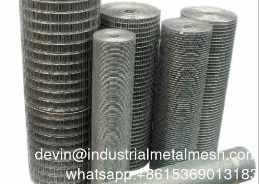 Hot Dipped Rouleau De Grillage Galvanized Steel Wire Mesh Welded Mesh Fence 1/2'' 1/4'' Galvanized Wire Mesh