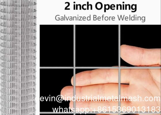 Durable Welded Wire Mesh for Industrial and Commercial Use