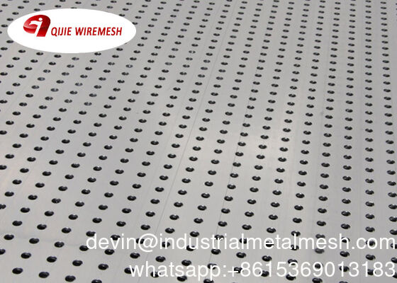 Perforated Punching Hole Metal Mesh Stainless Steel Metal Perforated Sheet