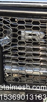 Factory Customize Perforated Metal Mesh/Punching Hole Netting