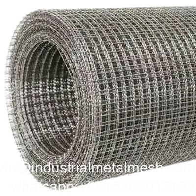 High Quality Hot DIP Galvanized Welded Wire Mesh Roll Packed