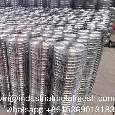 High Quality Hot DIP Galvanized Welded Wire Mesh Roll Packed