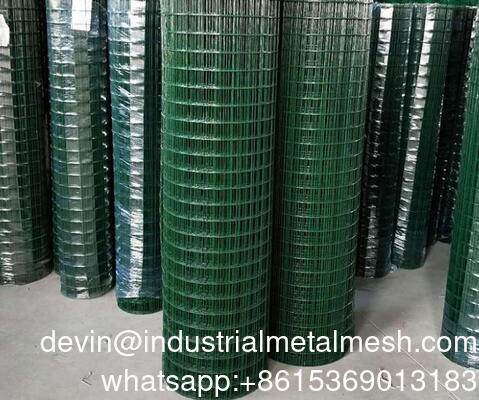 Good Price Galvanized Welded Wire Mesh Rolls for Rabbit Bird Animal Pet Cages