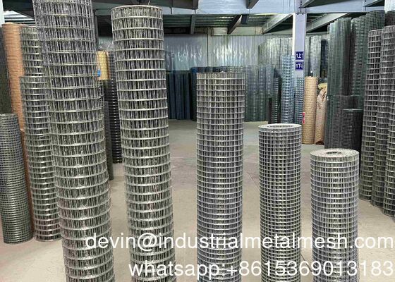 Durable Welded Wire Mesh Rolls - Electro Galvanized for Maximum Strength