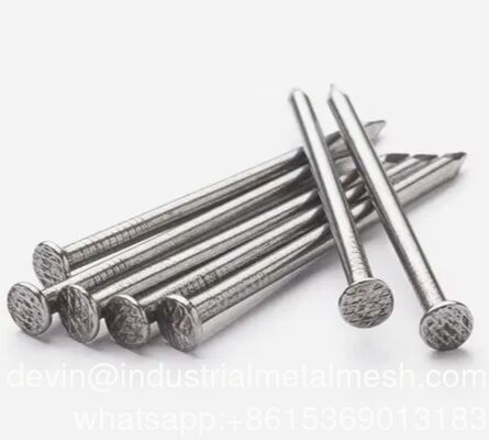 Polished Hardened Good Quality Common Nail 2.5 Inch