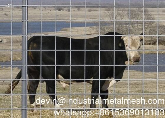 Hot DIP Galvanized Hog Panel for Livestock and Cattle Fence