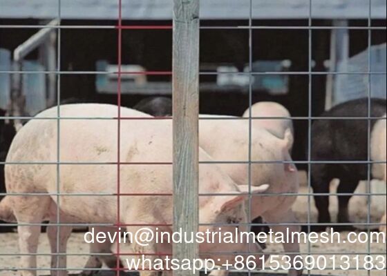 Hot DIP Galvanized Hog Panel for Livestock and Cattle Fence