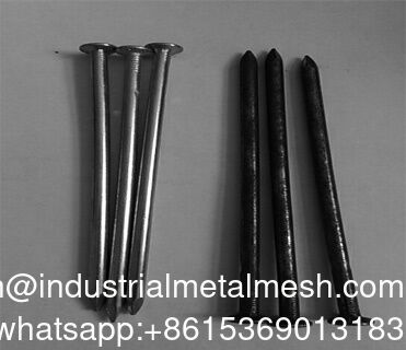 Galvanized Common Wire Nails Smooth Shank Type Round Flat Head Nails