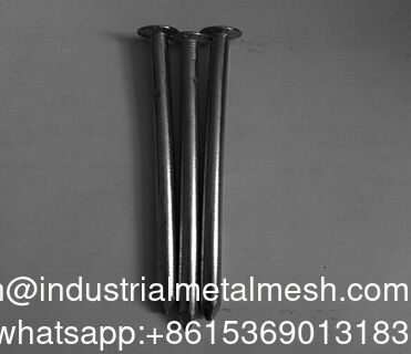 Galvanized Common Wire Nails Smooth Shank Type Round Flat Head Nails