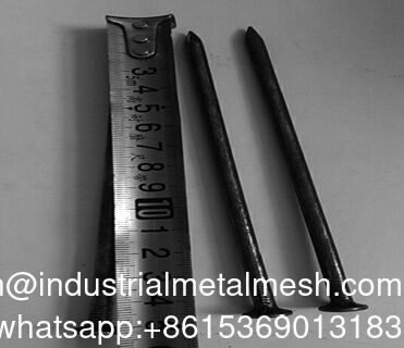 Electro Galvanized Zinc Iron Nails 1''-6'' Wooden Nail Wire Nail Polished Common Nails