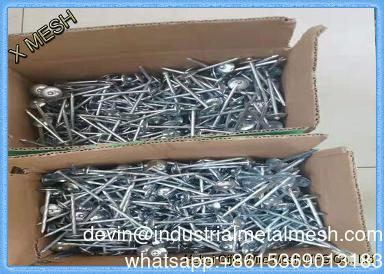 Q195 Flat Head Polished Building Material Steel Iron Wire Common Nails for Wood and Conctruction
