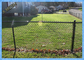 11.5 Gauge Green PVC Coated Galvanized Chain Link Fence for farm garden