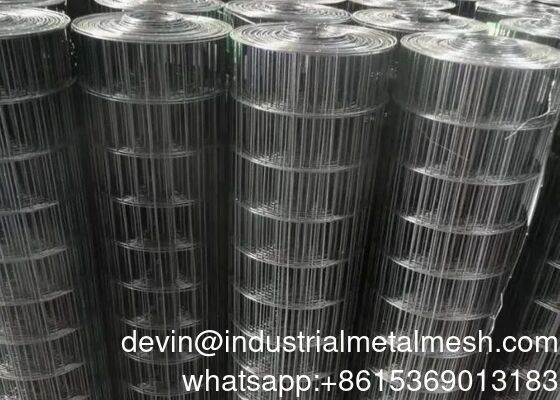 Hot Dipped Galvanized Green PVC Coated Welded Wire Mesh Panel