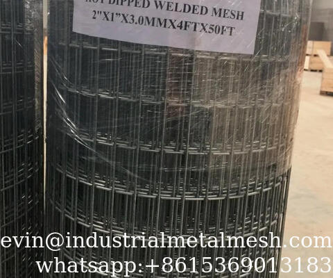 High Quality Stainless Steel Welded Wire Mesh 304D Welded Mesh
