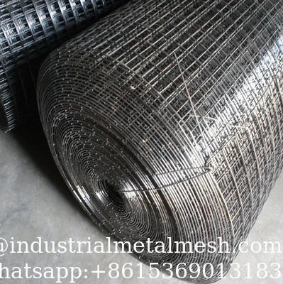 High Quality Stainless Steel Welded Wire Mesh 304D Welded Mesh