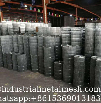 Durable Galvanized Stainless Steel Welded Wire Mesh for Fencing