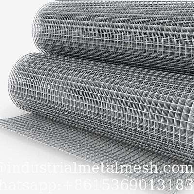 Wholesale Customization High Quality Galvanized Ss Stainless Steel Welded Wire Mesh Roll/Panel