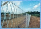 Concertina Razor Wire, Razor Wire Fence, Razor Barbed Wire