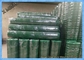 Green PVC 2mm Welded Wire Mesh Roll After Electric Galvanized with 3/4" Hole Size