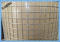 1′′*1′′ Welded Galvanized Welded Wire Mesh Roll for Construction Building