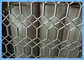Windows And Doors Decorative Expanded Metal Mesh Expanded Gothic Metal Mesh Sheet