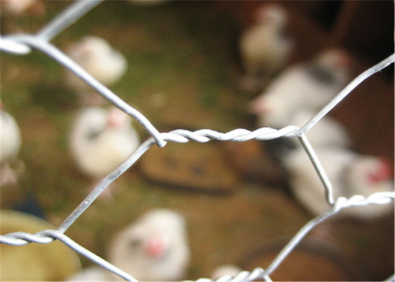 304 Stainless Steel 20 GA Chicken Metal Wire Mesh Poultry Netting Hex Hole 3/4"