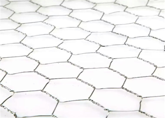 Acid Resistance Stainless Chicken Wire For Poultry Fencing And Gabions In Roll