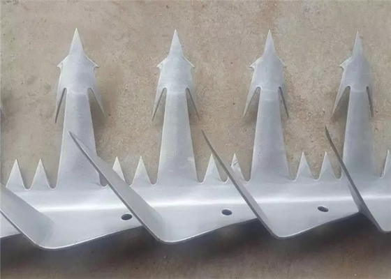 Hot Dipped Galvanized Steel Anti Climb Wall Spikes 120mm