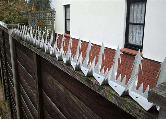 Hot Dipped Galvanized Steel Anti Climb Wall Spikes 120mm