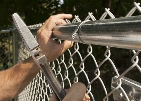Black Pvc Coated Chain Link Security Fence